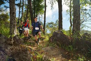 BIB: 
                            <button type="button" onclick="openModal(18933483)" class="btn btn-primary btn-sm float-right btn-popup" data-toggle="modal" data-target=".modal-high-quality">
                        <i class="fas fa-shopping-cart"></i> Add to Cart
                    </button>
                                            <button type="button" onclick="isThisMe(18933483, true)" class="btn btn-success btn-sm float-right btn-popup btn-isme hidden" data-toggle="tooltip" data-placement="bottom" title="นี่คือรูปของคุณใช่ไหม คลิกที่นี่เพื่อเอาเข้าอัลบั้ม">
                        <i class="fas fa-plus"></i> Add to album
                    </button>
                    <button type="button" onclick="isThisMe(18933483, false)" class="btn btn-warning btn-sm float-right btn-popup btn-isnotme hidden">
                        <i class="fas fa-ban"></i> Remove from album
                    </button>